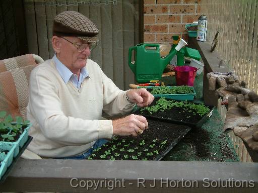 Seedling pricking out Fred 